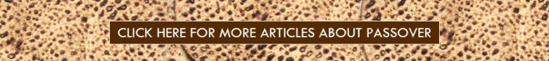Passover Articles