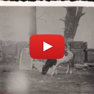Polish Jewish tombstones