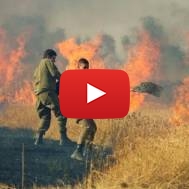 Gaza fire