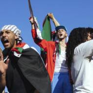 Anti-Israel protesters
