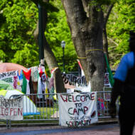 Anti-Israel Campus Protests