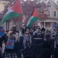 Anti-Israel protesters at Yale